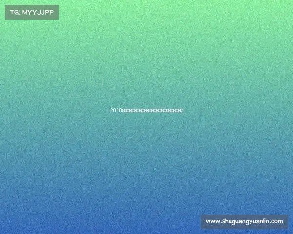 2018年赛车盛世精彩回顾：速度、技术与荣耀的巅峰对决瞬间