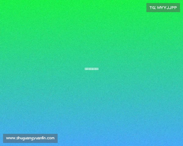 博乒网乒乓器材商城 博乒网乒乓器材商城