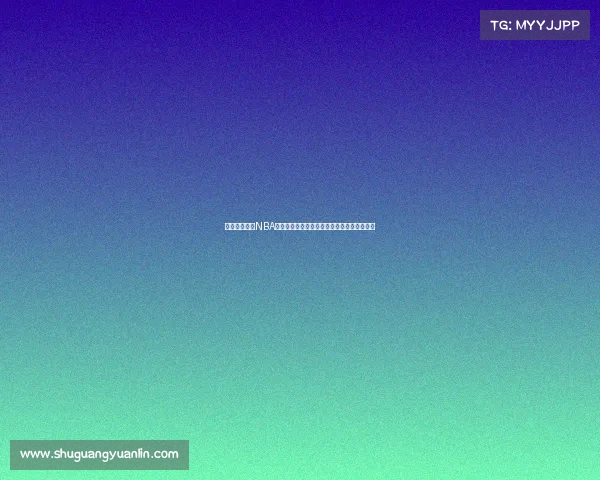 布鲁克林篮网NBA赛事精彩纷呈高潮迭起杜兰特领衔冲击总冠军