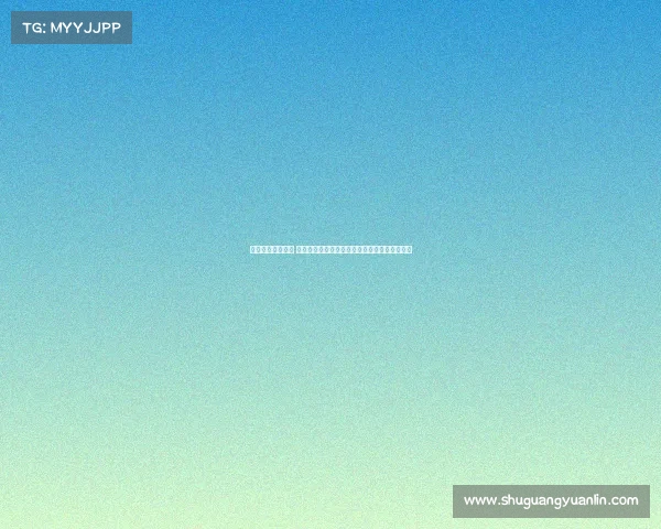 德州扑克赛事手册 德州扑克赛事权威手册规则策略与参赛指南全集