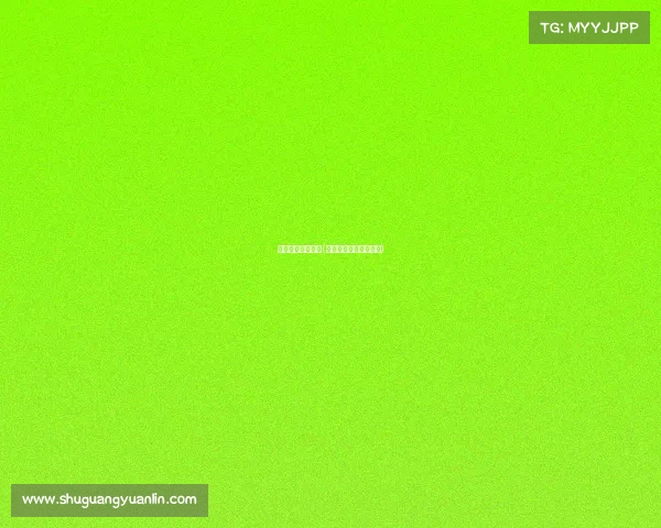 拳城出击赛事站点(拳城出击赛事站点在哪)