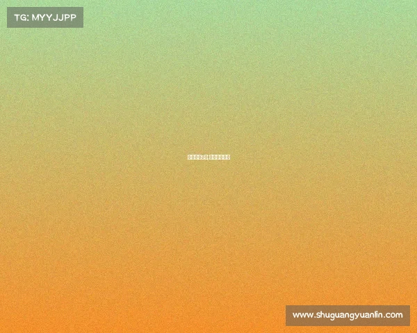 电子竞技s级;电子竞技级别